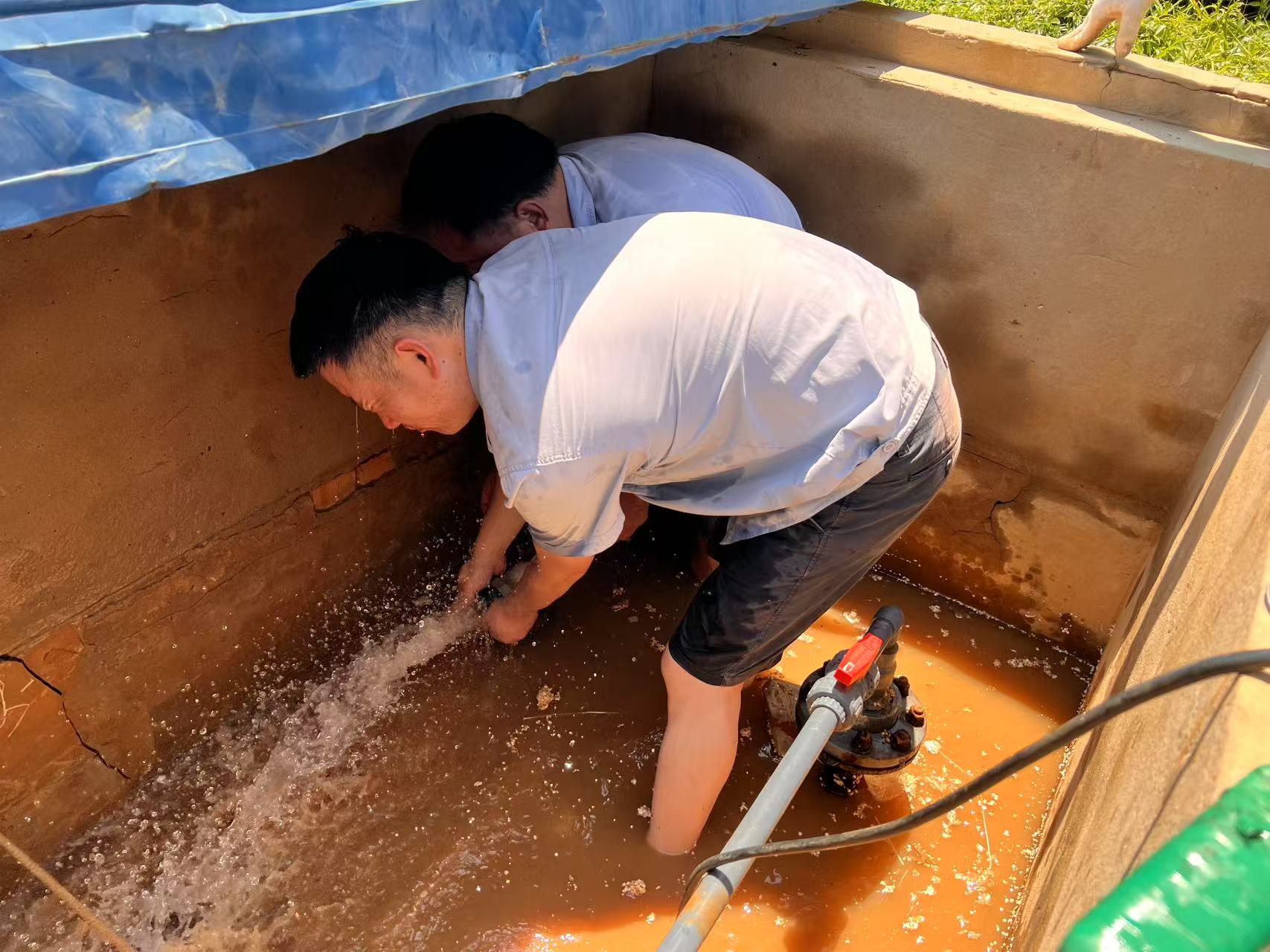 微信圖片_20250708092805.jpg